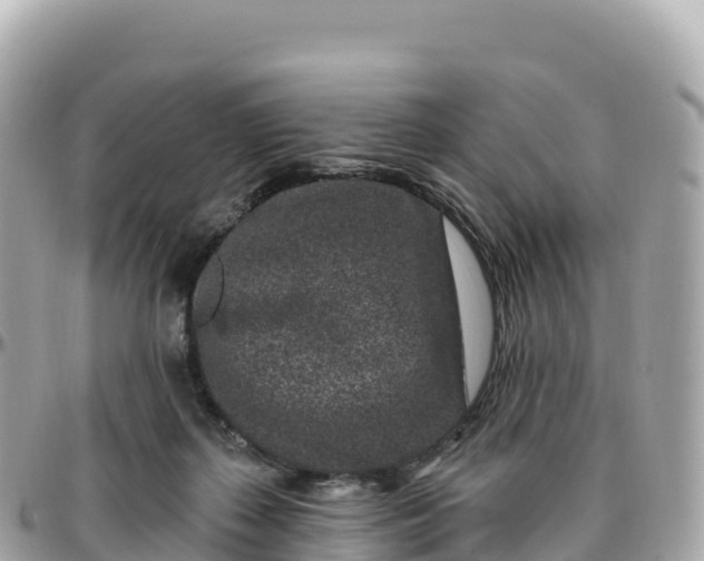 X0000095900267200801251231