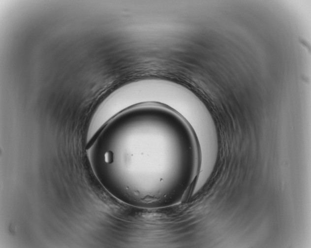 X0000095900268200801251231