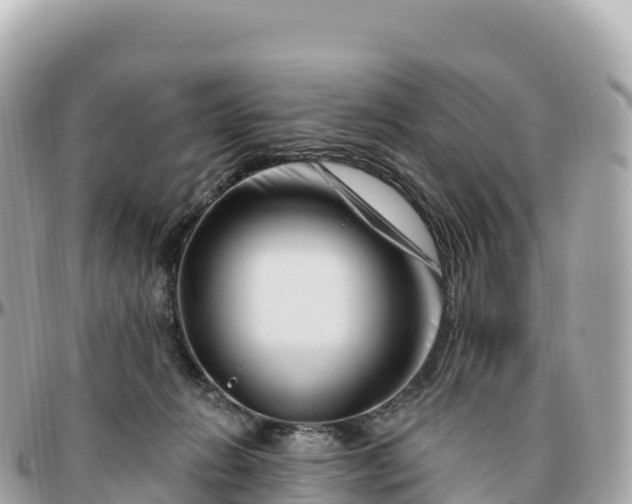 X0000095900270200801251231