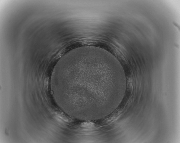 X0000095900271200801251231