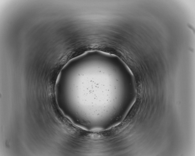 X0000095900272200801251231