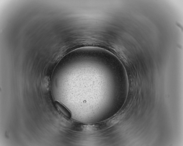 X0000095900273200801251231