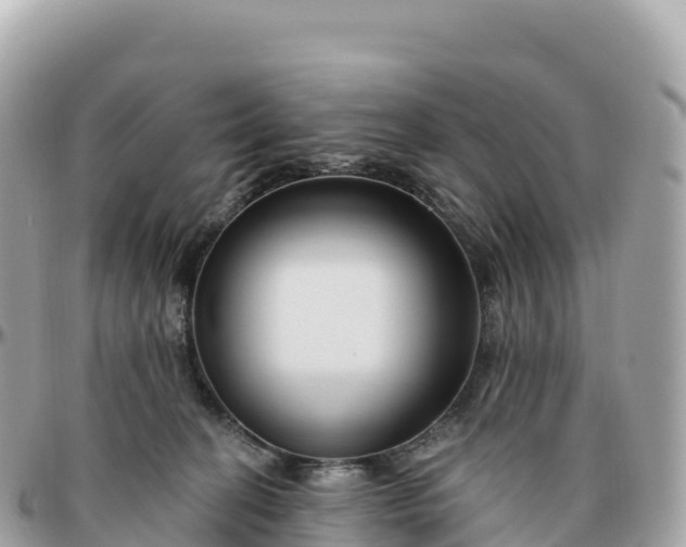 X0000095900274200801251231