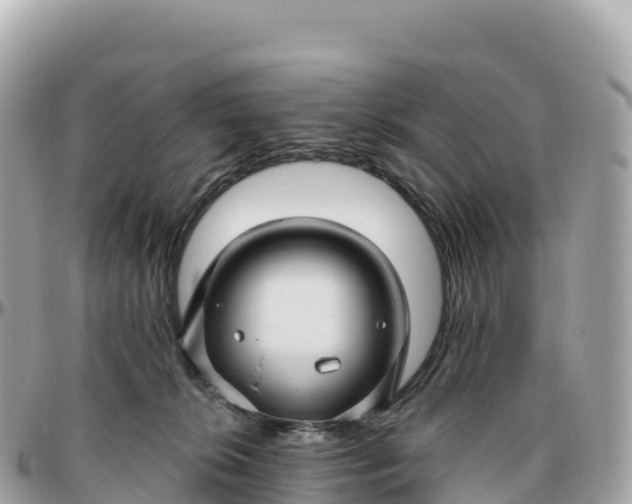 X0000095900276200801251231