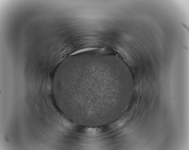 X0000095900277200801251231