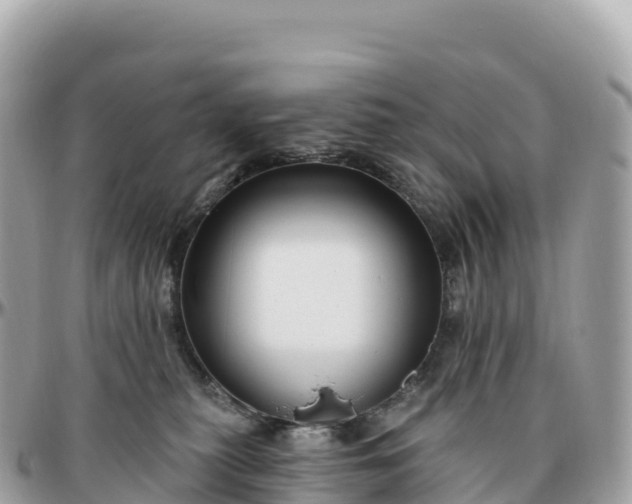 X0000095900279200801251231