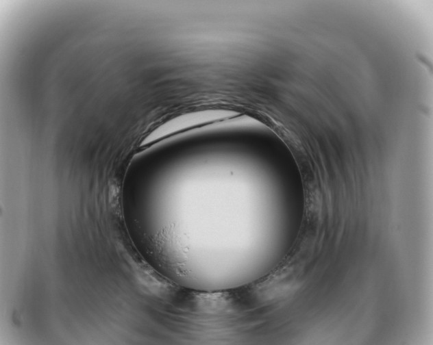 X0000095900281200801251231