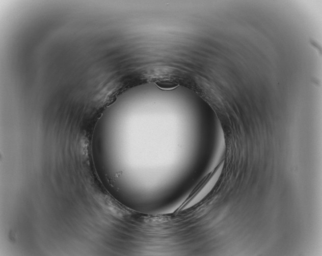 X0000095900282200801251231