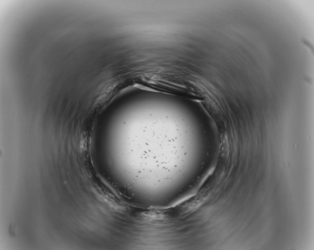 X0000095900284200801251231