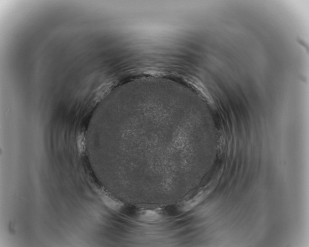 X0000095900285200801251231