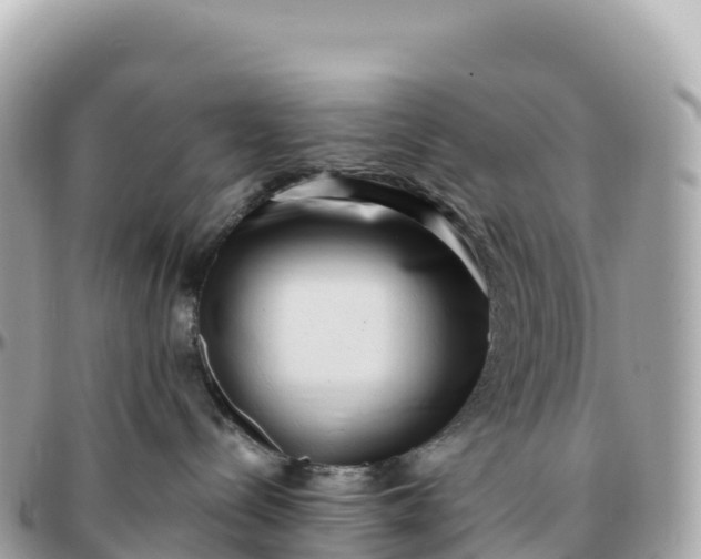 X0000095900288200801251231