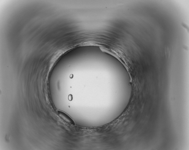 X0000095900289200801251230