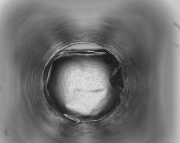 X0000095900290200801251230