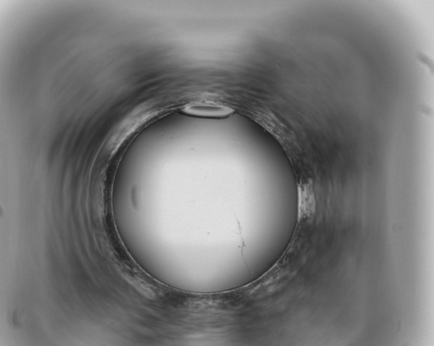 X0000095900291200801251230