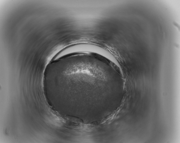 X0000095900292200801251230