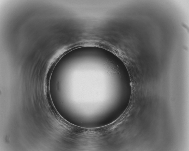 X0000095900294200801251230