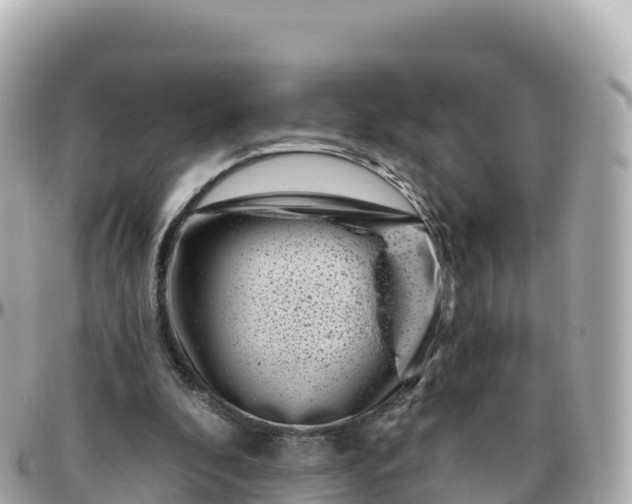 X0000095900296200801251230