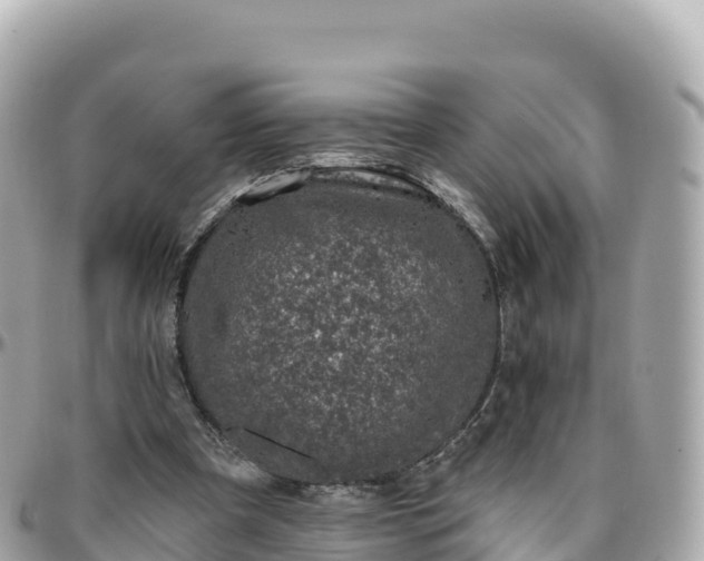 X0000095900297200801251230