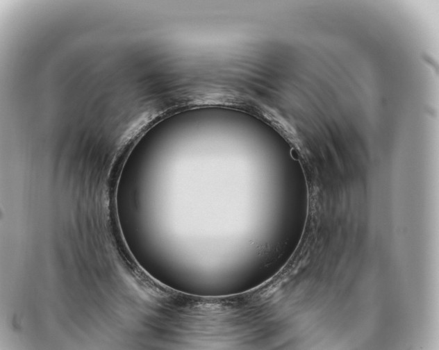 X0000095900298200801251230