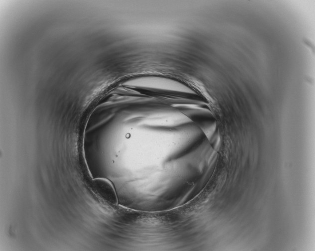 X0000095900299200801251230