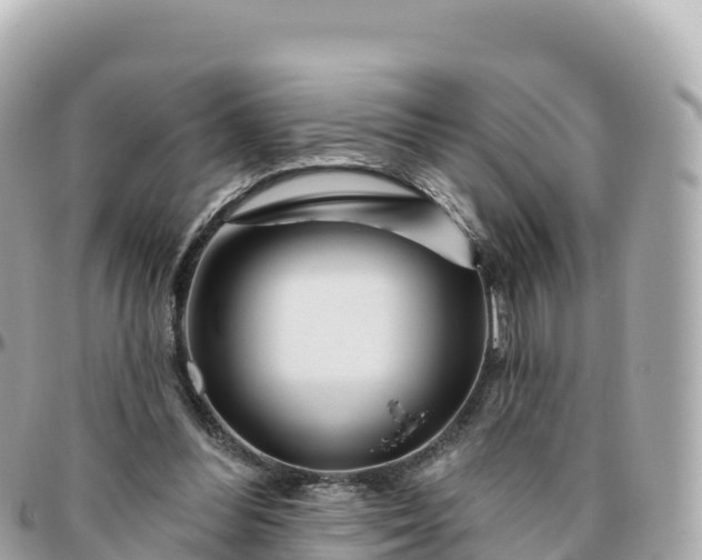 X0000095900300200801251230