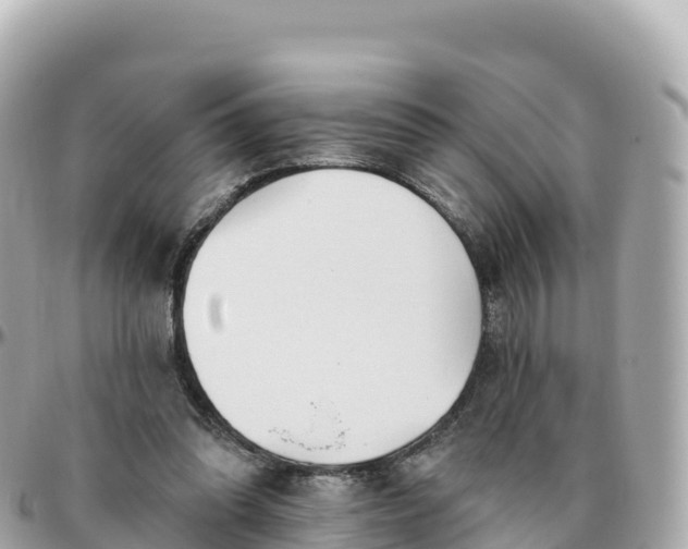 X0000095900302200801251230