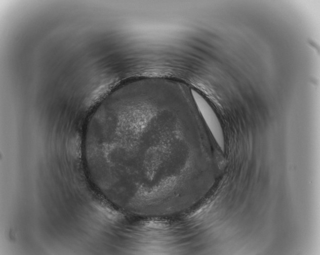 X0000095900303200801251230