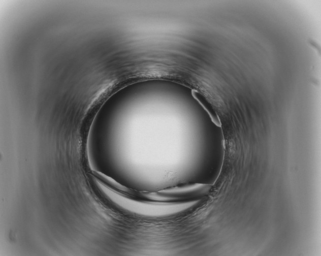 X0000095900304200801251230