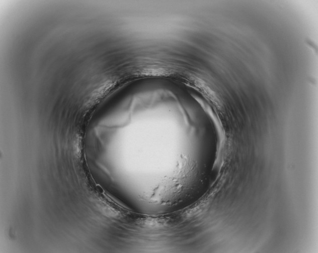 X0000095900305200801251230