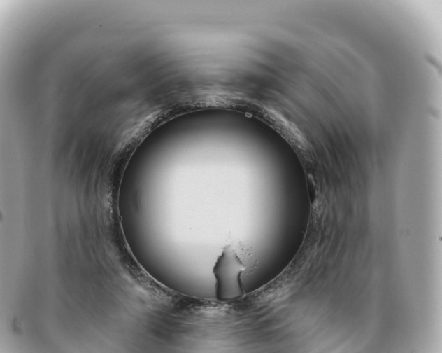 X0000095900306200801251230