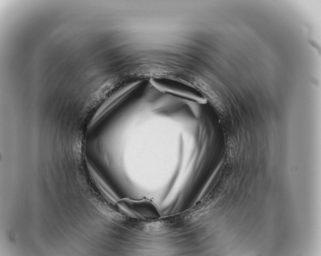 X0000095900309200801251230