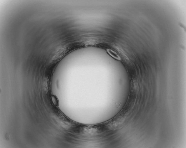 X0000095900311200801251230