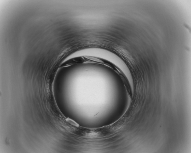 X0000095900312200801251230