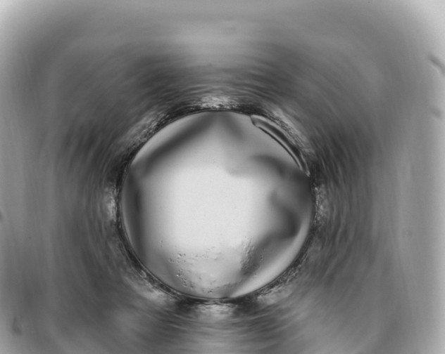 X0000095900313200801251230