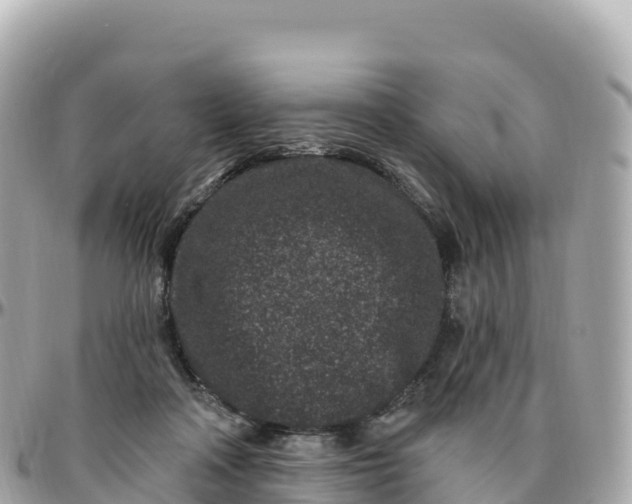 X0000095900314200801251230