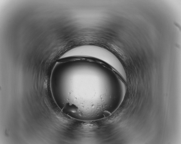 X0000095900315200801251230