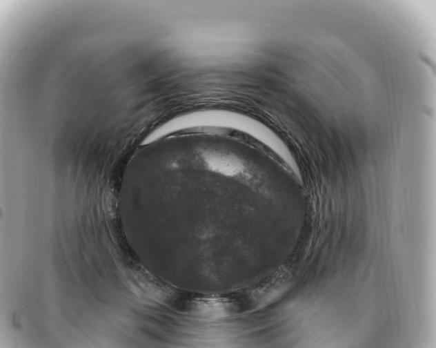 X0000095900316200801251230