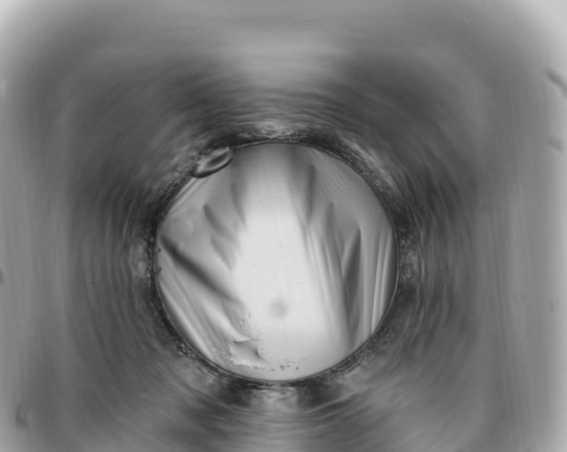 X0000095900317200801251230