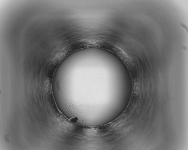 X0000095900318200801251230