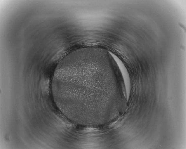 X0000095900319200801251230