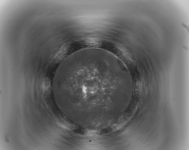 X0000095900320200801251230