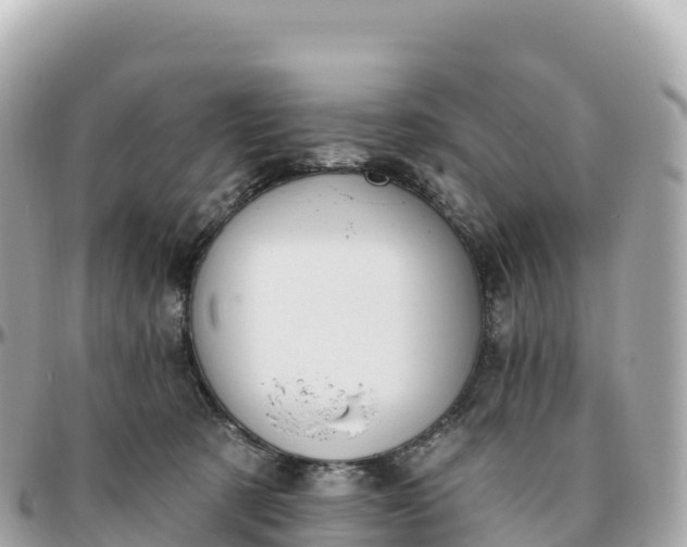 X0000095900321200801251230