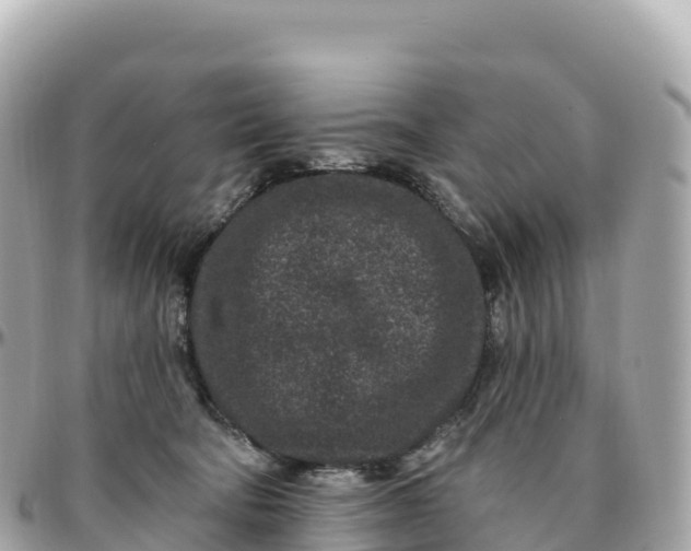 X0000095900322200801251230