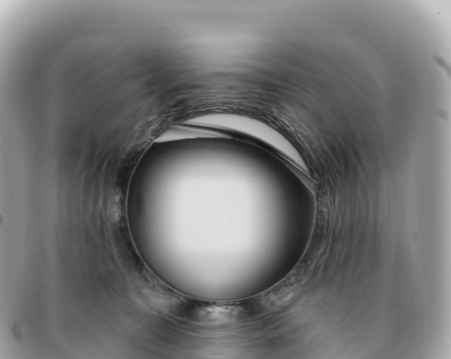 X0000095900323200801251230