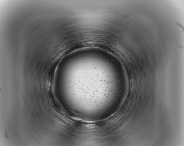 X0000095900324200801251230