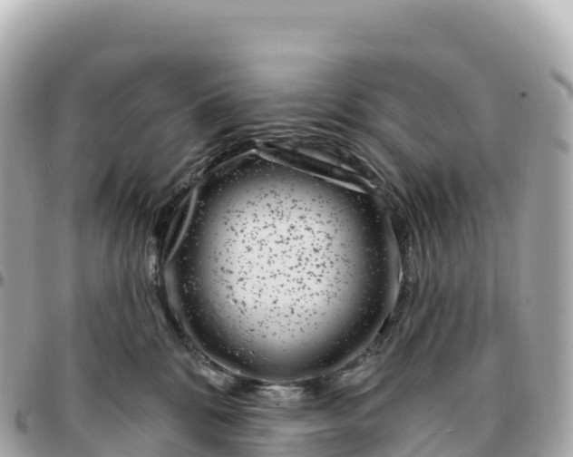 X0000095900328200801251230