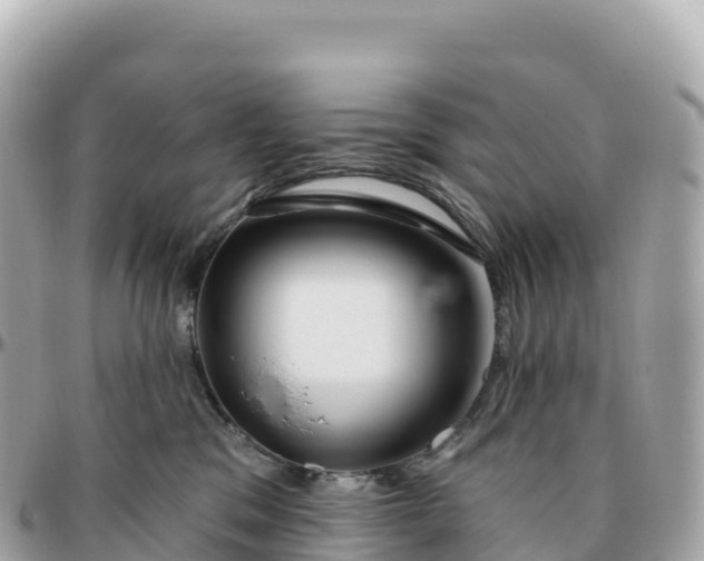 X0000095900329200801251230