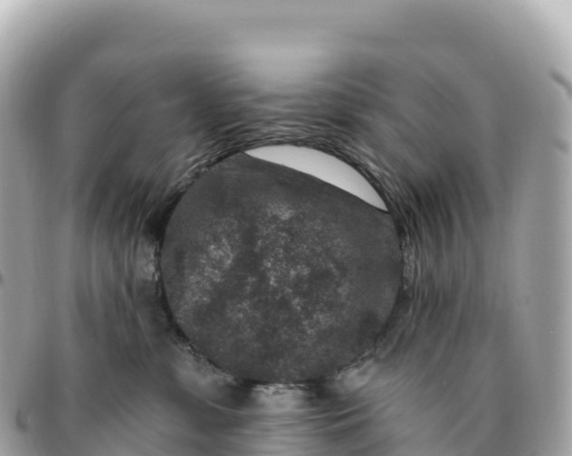 X0000095900331200801251229