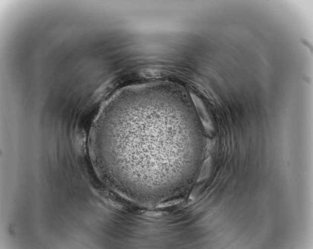 X0000095900332200801251229