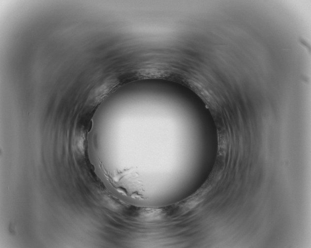 X0000095900334200801251229